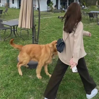 温内图与混血阿帕契人